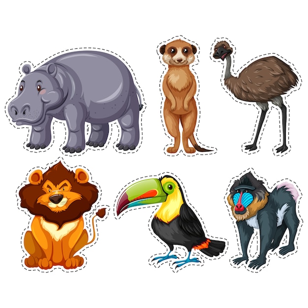 Wild collectie dieren stickers