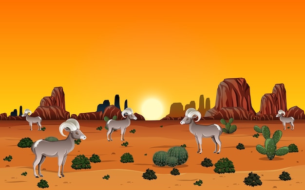 wild desert landscape at daytime scene