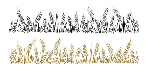 Spighe selvatiche di grano andherb, erba. fatto a mano di mais di cereali. illustrazione di vettore. linee marroni e nere