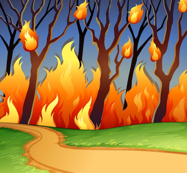 Incendio selvaggio nella foresta