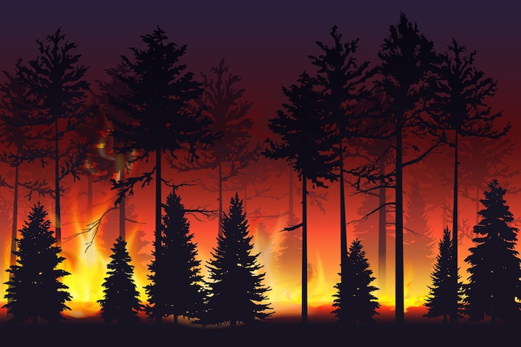 Vector wild fire in the night forest natural disaster