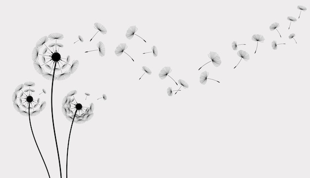 Вектор Дикий цветочный одуванчик в векторном стиле изолирован