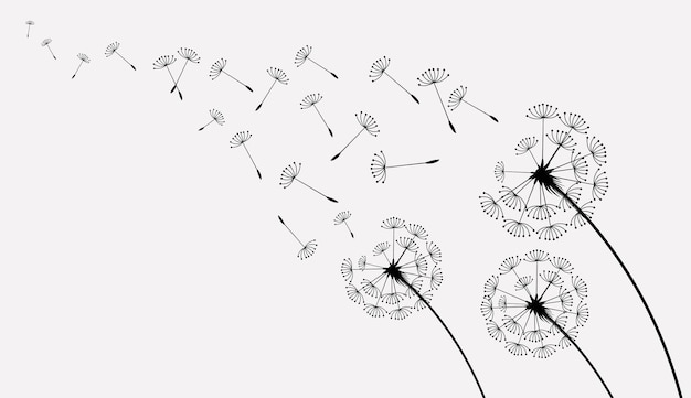 Vector wild flower dandelion in a vector style isolated