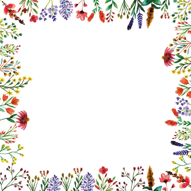 Vector wild flower frame decorations of spring season