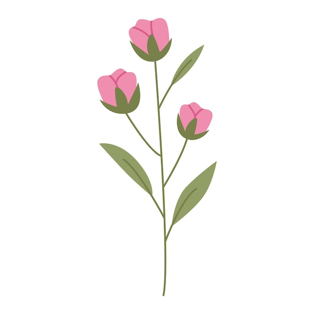 Wild flower illustration