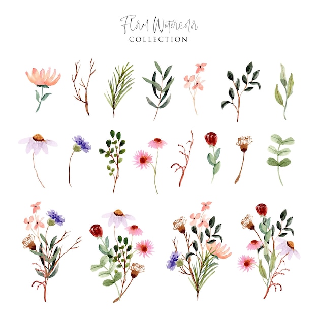 wild flower meadow watercolor collection