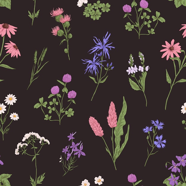 Wild flower pattern on black background. Seamless botanical texture with wildflowers, herbs and floral plants in retro style. Realistic repeating backdrop. Colored hand-drawn vector illustration.