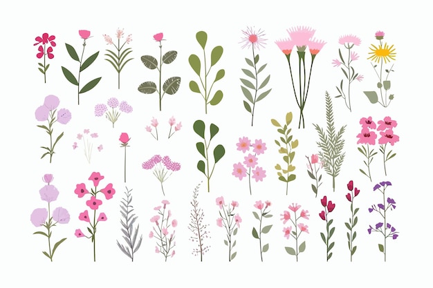 Wild flowers field herbs set Floral herbal plants with leaf and blooms Isolated on white background Vector cartoon illustration