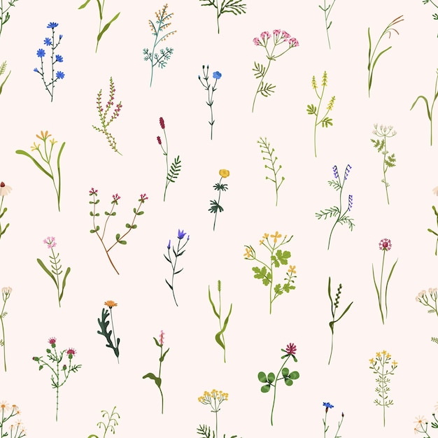Vector wild flowers pattern. seamless floral background. repeating botanical print with spring blooms, plants and herbs for wallpaper and wrapping. delicate flora texture. colored flat vector illustration