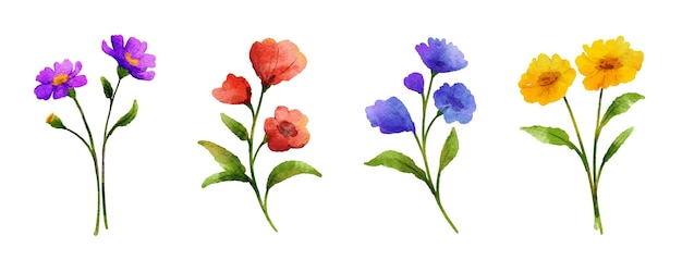 Wild flowers set in watercolor style isolated on white background