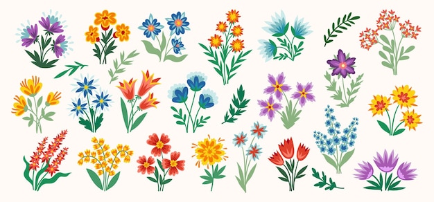 Wild flowers vector set