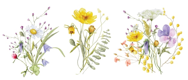 Illustrazione disegnata a mano botanica del mazzo dell'acquerello dei fiori selvaggi