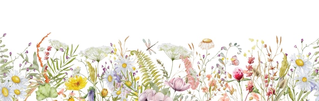 Illustrazione disegnata a mano botanica della struttura dell'acquerello dei fiori selvaggi