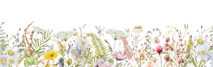 Vector wild flowers watercolor frame botanical hand drawn illustration
