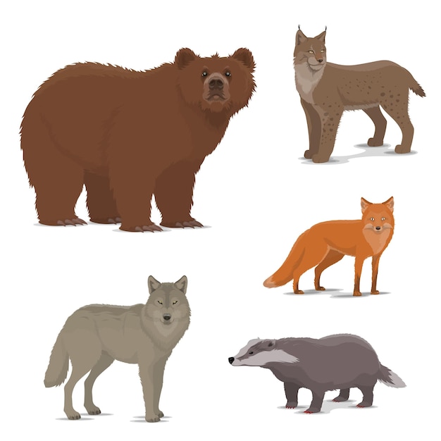 Wild forest animals fox badger lynx bear icons