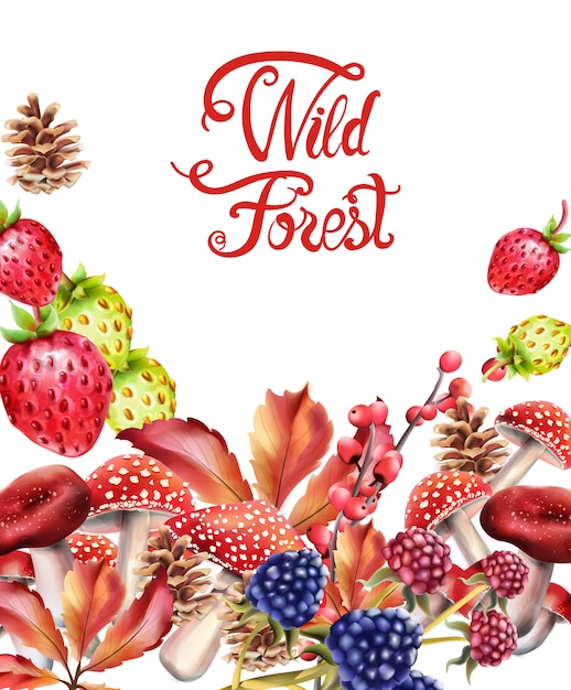 Wild forest fruits composition