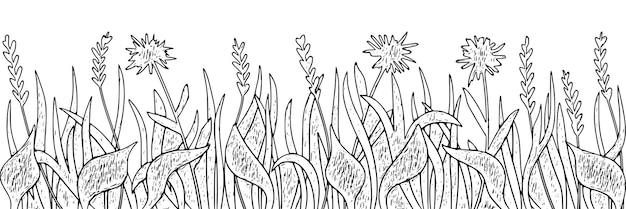 Wild grass vector drawing on a white background