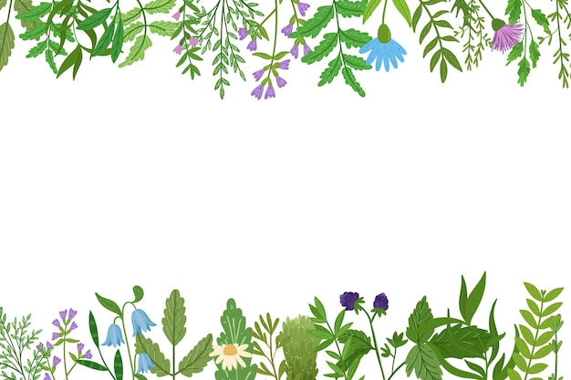 Wild herbs banner. Cartoon leaves,brunches,flowers,twig  .   hand drawn illustration.