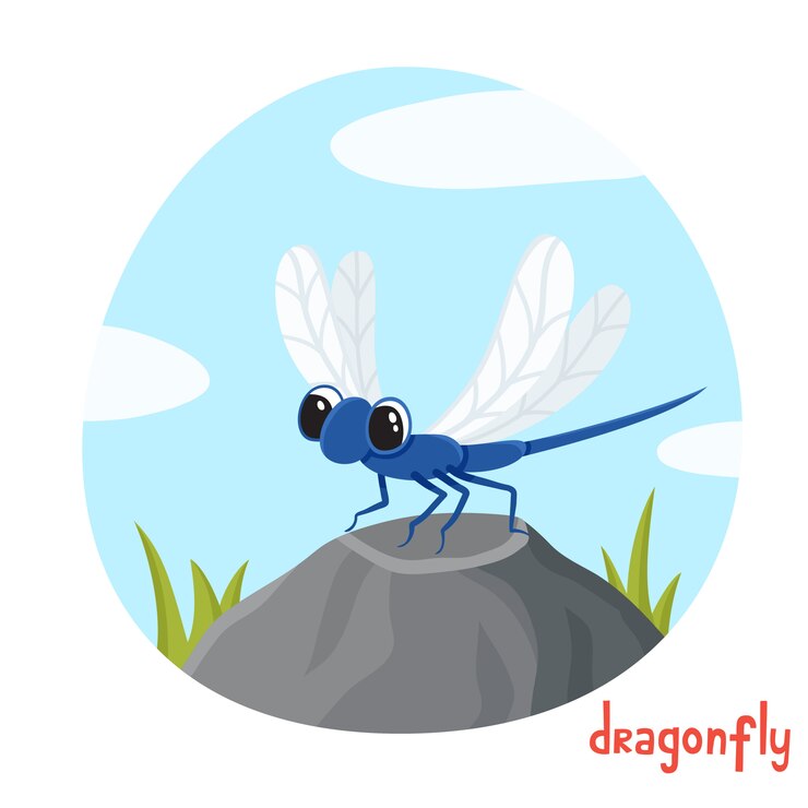 Vector wild insect in cartoon style. vector illustration of dragonfly on white. 
