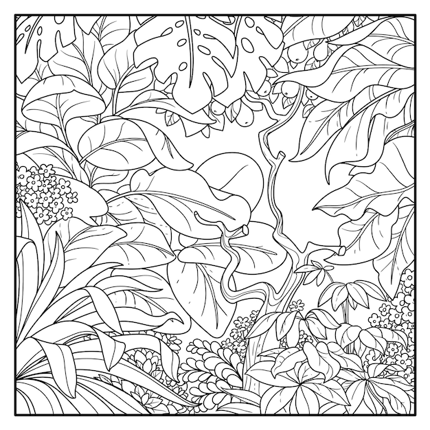 Wild jungle black contour line drawing for coloring on a white background