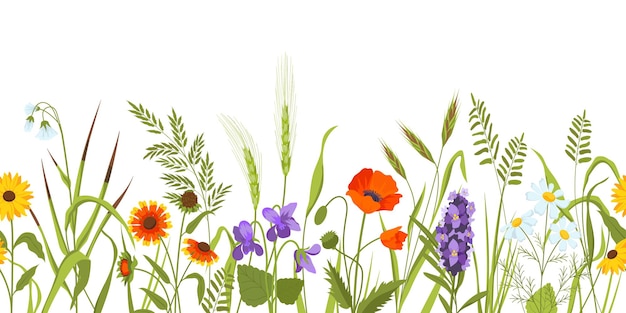 Wild Herbs. Wildflowers in Summer. Vector Color Flowers -  Denmark в  2023 г  Цветы в технике грифонаж, Цветочное искусство, Цветок