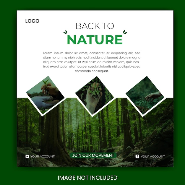 Vector wild nature social media posts