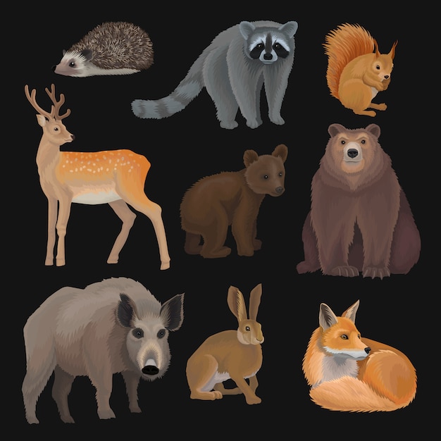 Wild northern forest animals set, hedgehog, raccoon, squirrel, deer, fox, bear cub, wild boar