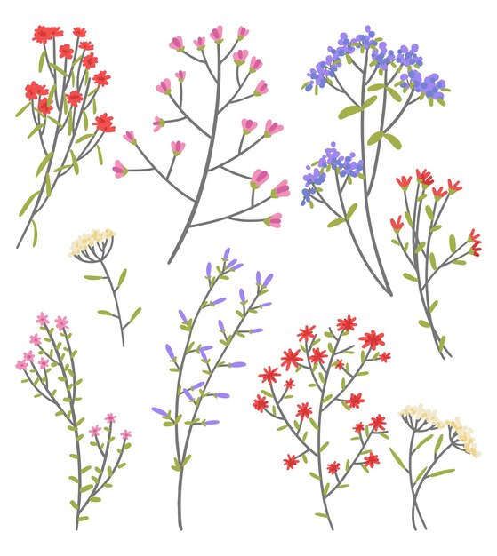 Vettore collezione di piante selvatiche set di graziosi fiori in stile semplice illustrazione vettoriale disegnata a mano clipart botaniche astratte isolate su bianco