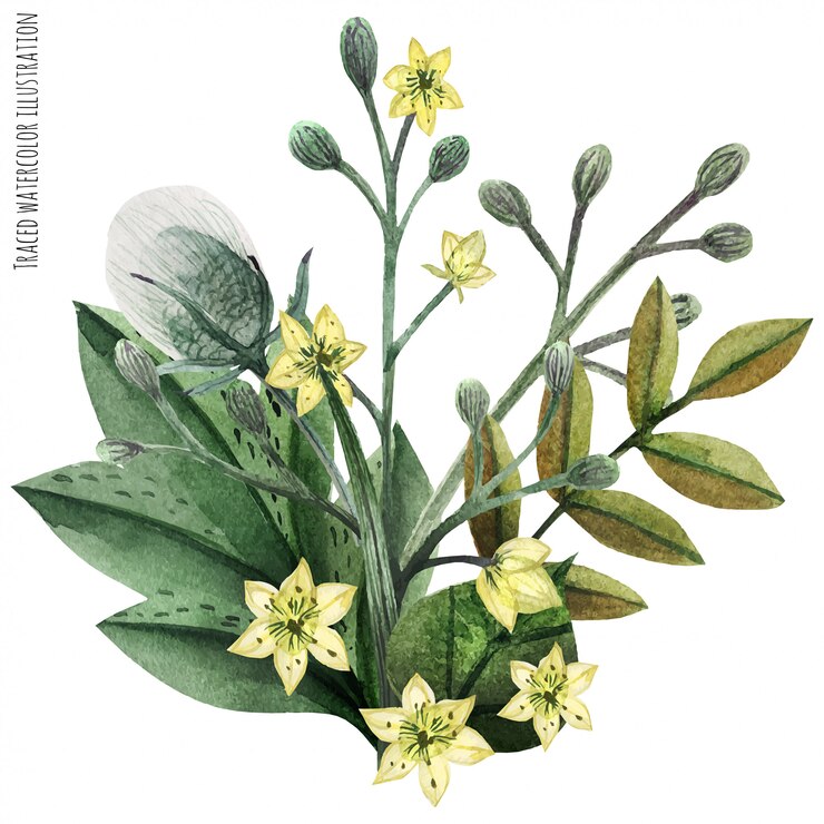 Vector wild plants hand painted watercolor boutonniere