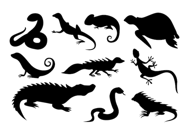 Wild reptiel silhouet tropische reptielen schildpad kameleon en schildpad hagedis en krokodil of alligator slang en leguaan amfibieën zwarte pictogrammen vector geïsoleerde collectie