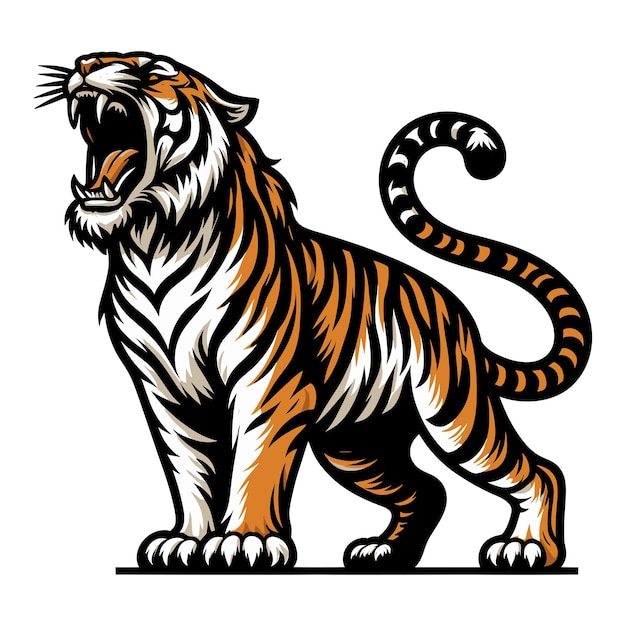Wild roaring tiger full body vector illustration zoology illustration animal predator big cat design