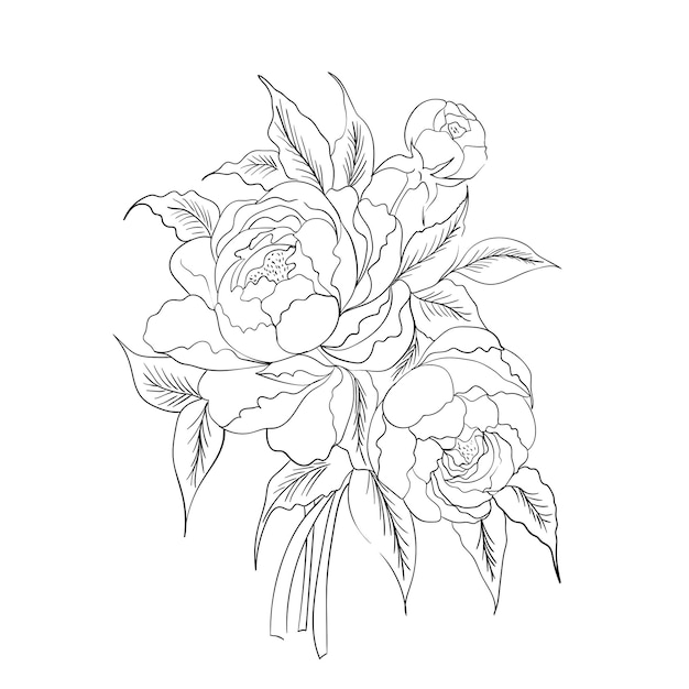 Wild rose flowers drawing and sketch with line-art.