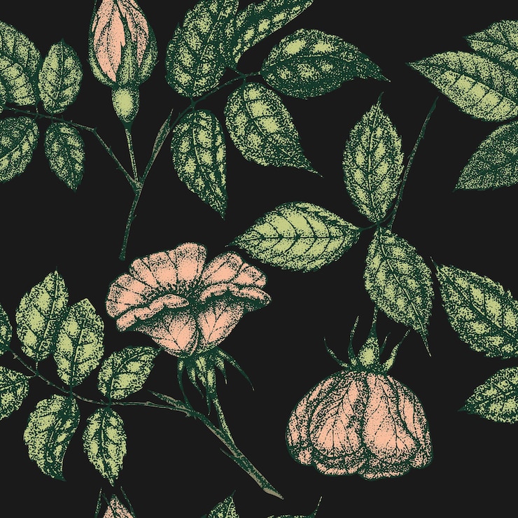 Vector wild rose flowers drawing and sketch with pointillism on black backgrounds vintage pattern of branch with rosehip fruits and leaves