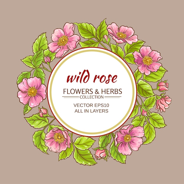 Wild rose flowers frame