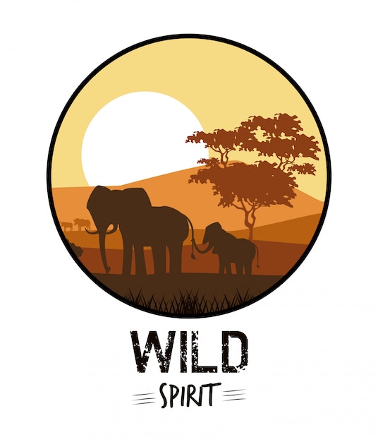 Wild spirit animals