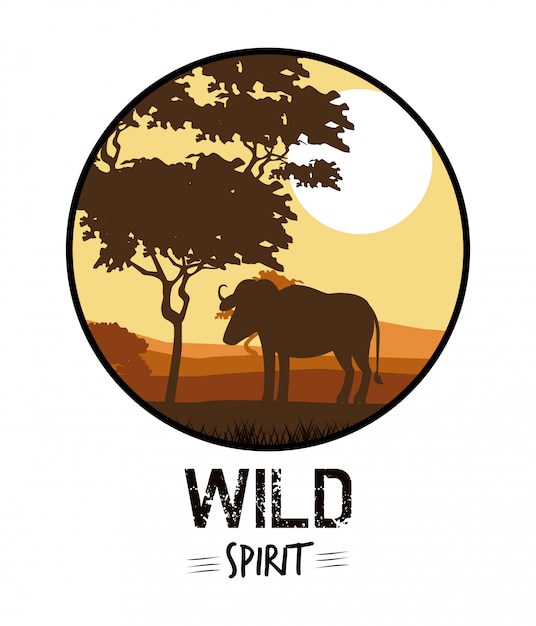 Wild spirit animals