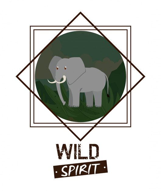 Wild spirit animals