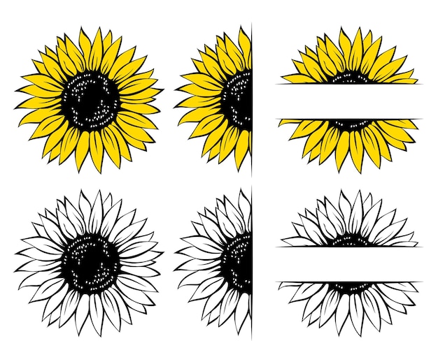 Vector wild sunflower set flower frame