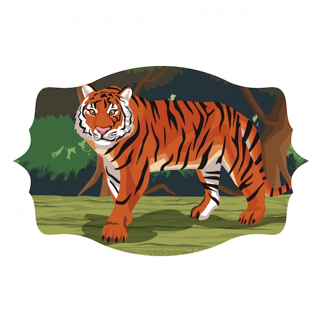 Vector wild tiger cartoon