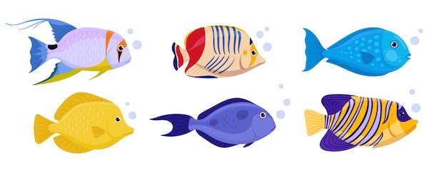 Vector wild underwater fish cartoon exotic fish tropical fish saltwater marine fauna flat vector illustration set fish collection