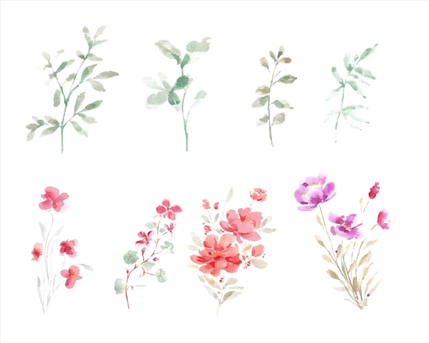 野生の水彩画の花と葉