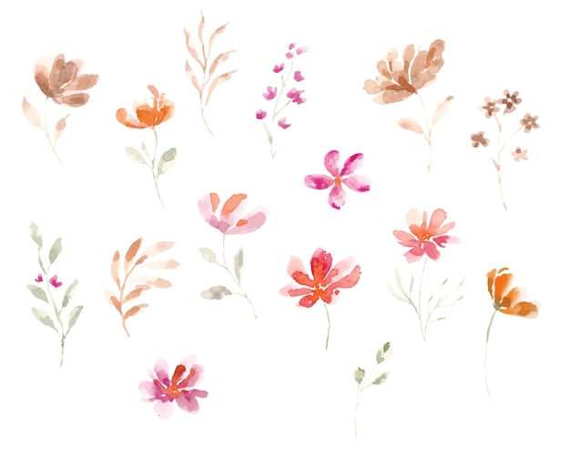 Wild watercolor flower set illustration