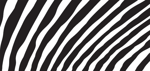 Vettore wild zebra wave pattern con backgroundxa astratto alla moda in bianco e nero