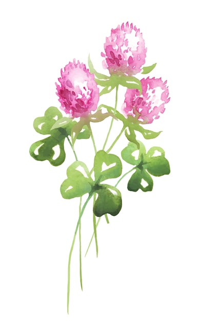 Vector wilde bloemen boeket aquarel vector