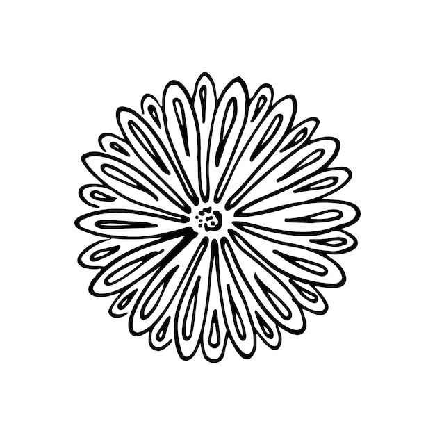 Wilde bloemen doodle lineart vector illustratie hand tekenen