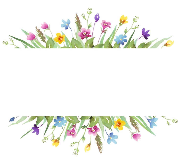 Vector wilde bloemen frame aquarel vector