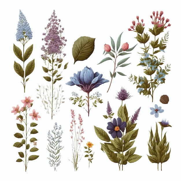 Wilde bloemen vector collectie Handgetekende illustratie geïsoleerd op witte achtergrond