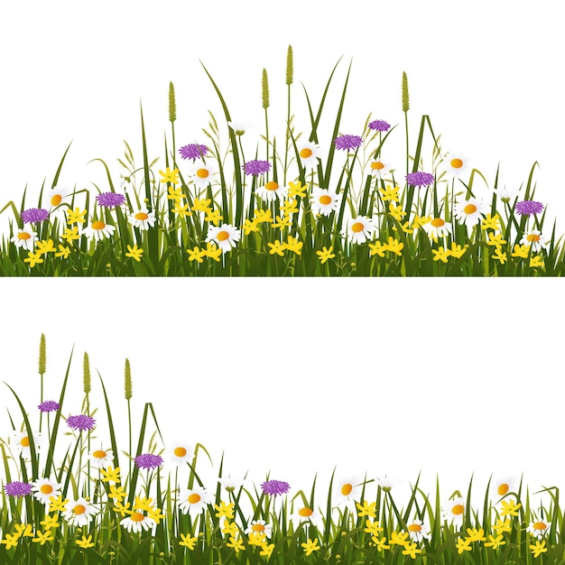 Vector wilde bloemenweide, die op witte illustratie wordt geïsoleerd als achtergrond