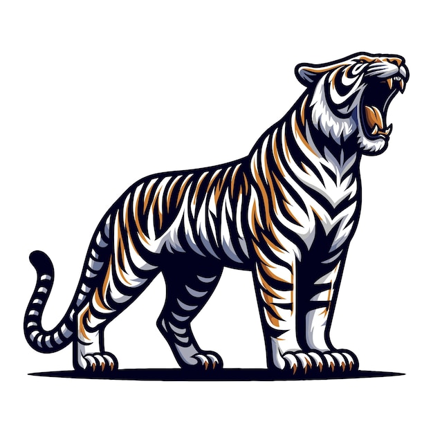 Wilde brullende tijger vol lichaam vector illustratie zoölogie illustratie dier roofdier