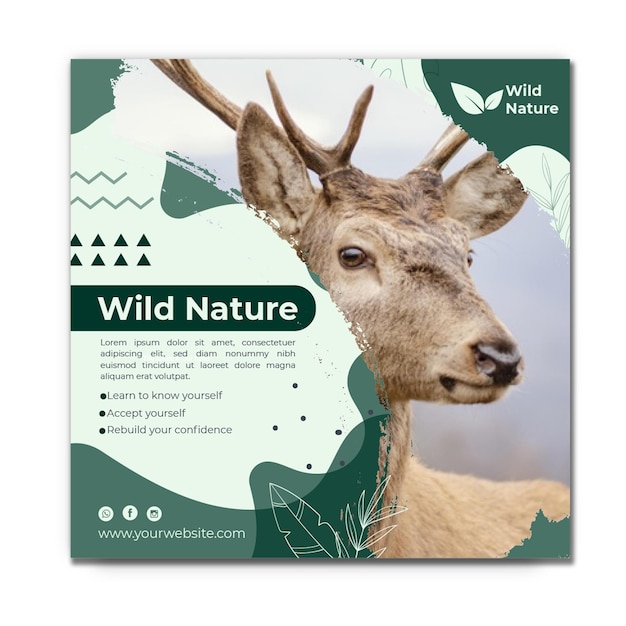 Vector wilde natuur flyer vierkante sjabloon